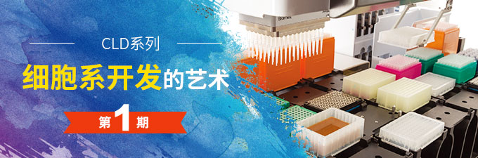 細胞系開發(fā)的藝術