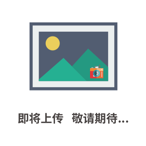 DIS-1A型數(shù)控多功能消解儀　消解儀價格　消解儀